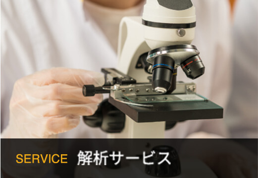 SERVICE　解析サービス